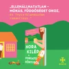 Kép 2/6 - nora-kilep-a-forgatokonyvbol-annabel-monaghan-konyv-next21-kiado