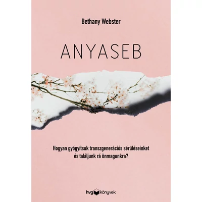 Anyaseb