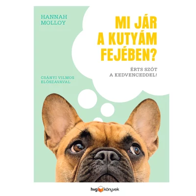 Mi jár a kutyám fejében?
