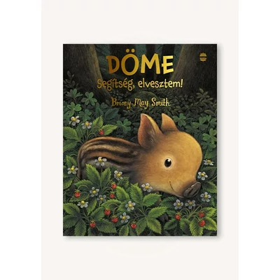 Döme - segítség, elvesztem!