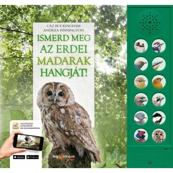 Ismerd ​meg az erdei madarak hangját!