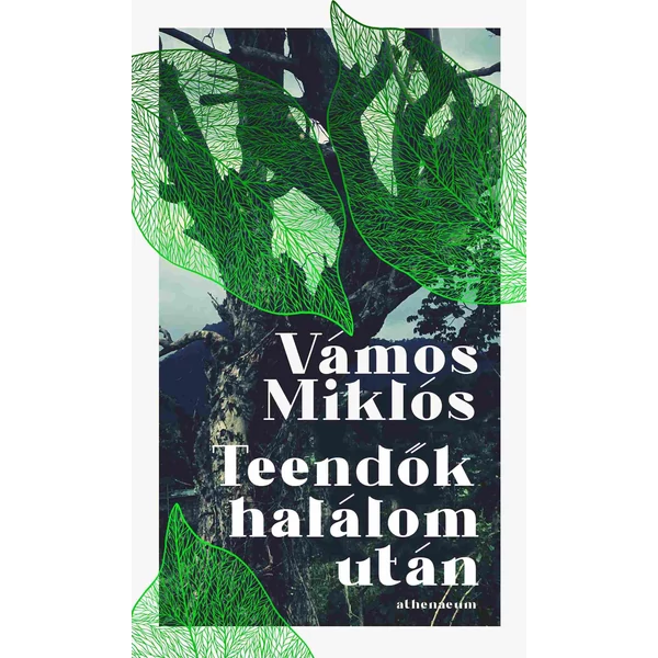 erika-neni-renyi-adam-21-szazad-kiado