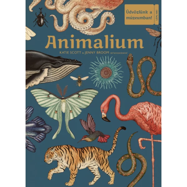 Animalium