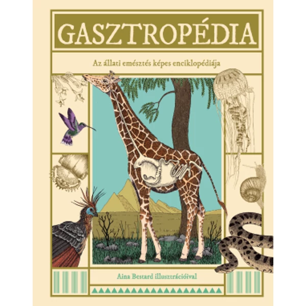 Gasztropédia