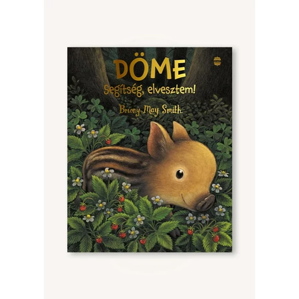 Döme - segítség, elvesztem!