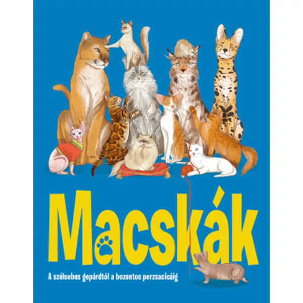 Macskák